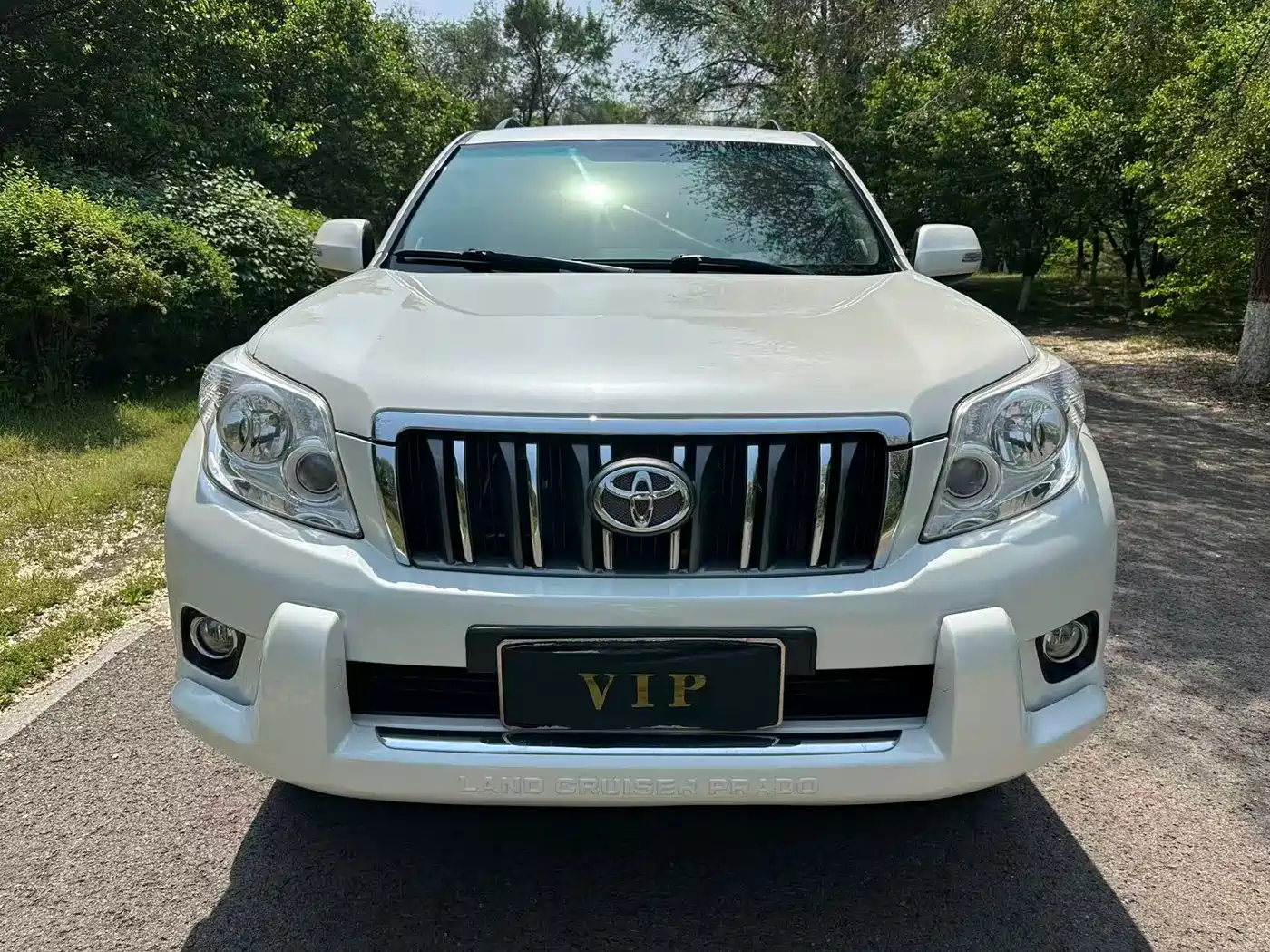 Toyota Prado (Import) 2010 2.7L Automatic Standard фото 2