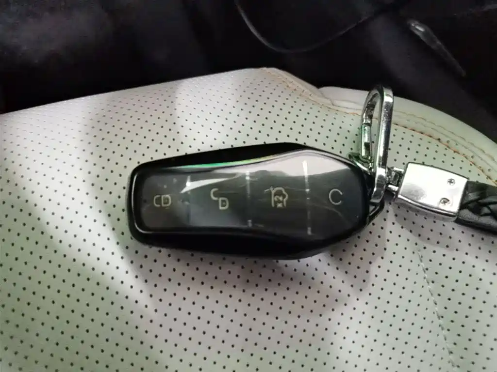 BYD Qin PLUS 2023 Champion Edition DM-i 55KM Leading фото 9