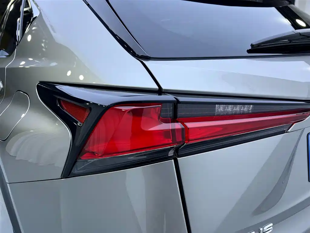 Lexus NX 2018 Model 300 FWD Fengxing Edition фото 23