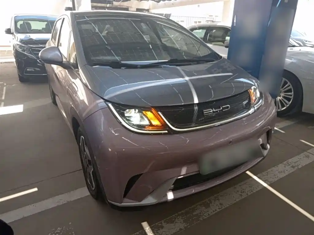 BYD Dolphin 2021 Model 405km Fashion Edition фото 4