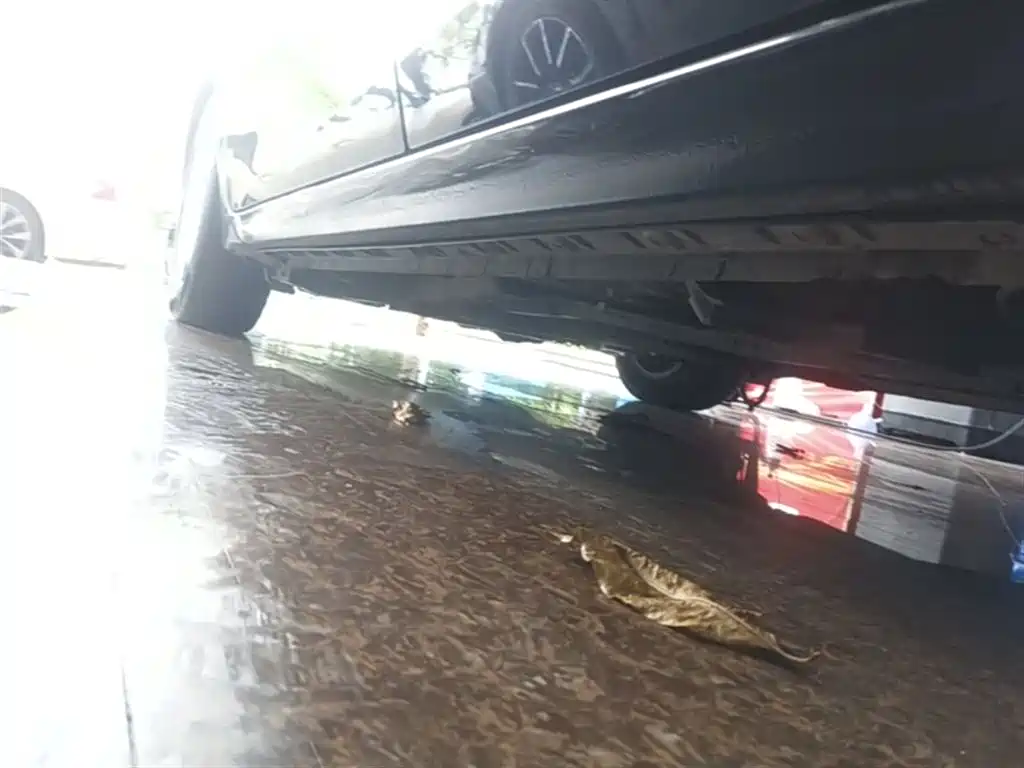 Toyota Corolla 2014 1.6L CVT GL фото 22