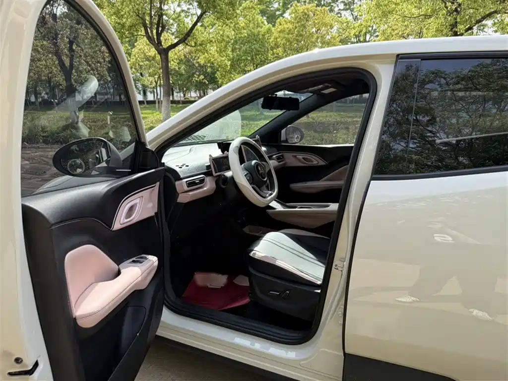 BYD Seagull 2024 Glory Edition 405km Soaring Edition фото 18