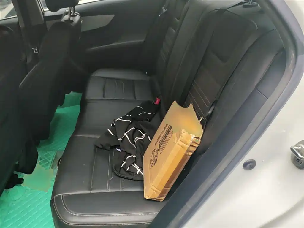 BYD Qin 2019 1.5L Automatic Luxury Edition фото 17