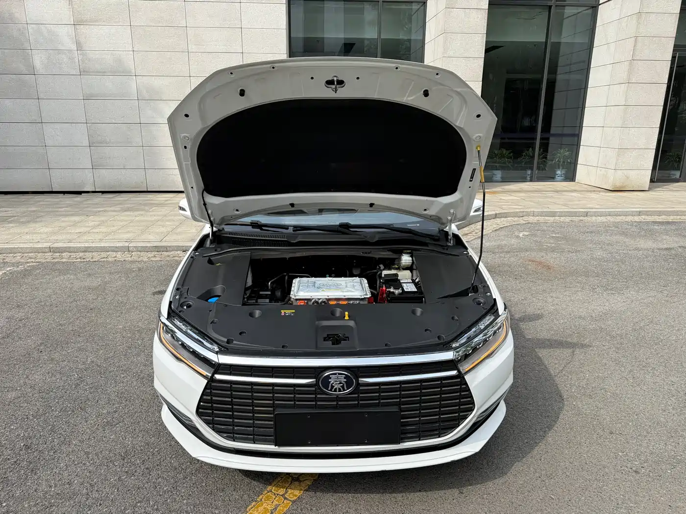 BYD Qin New Energy 2019 Long Range Edition Premium фото 15