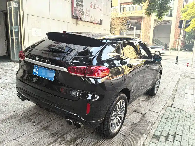 WEI PAI WEI BRAND VV5