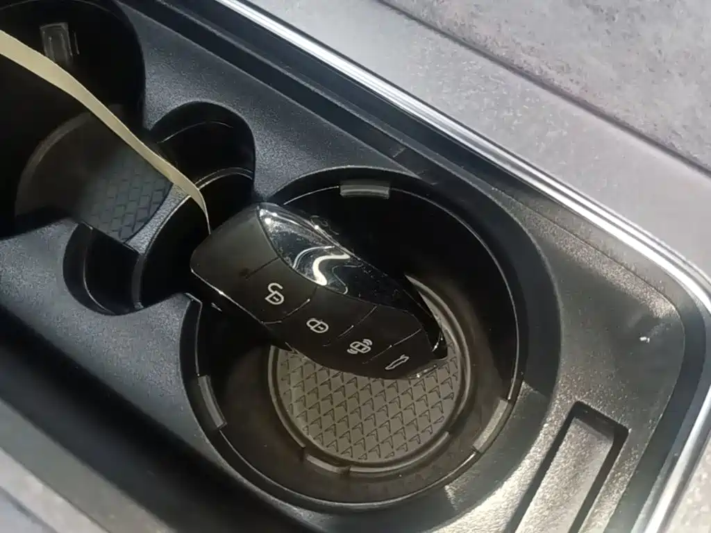 Photo 9 - Hongqi HS7 PHEV