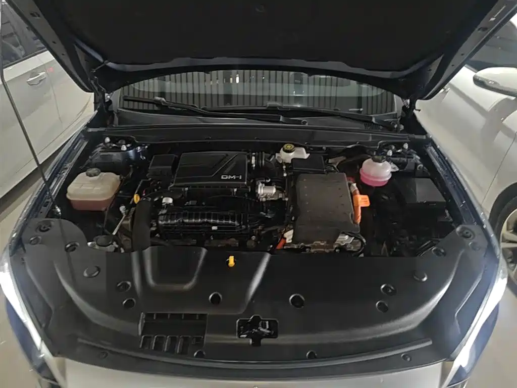 BYD Qin PLUS 2024 Glory Edition DM-i 55KM Leading фото 20