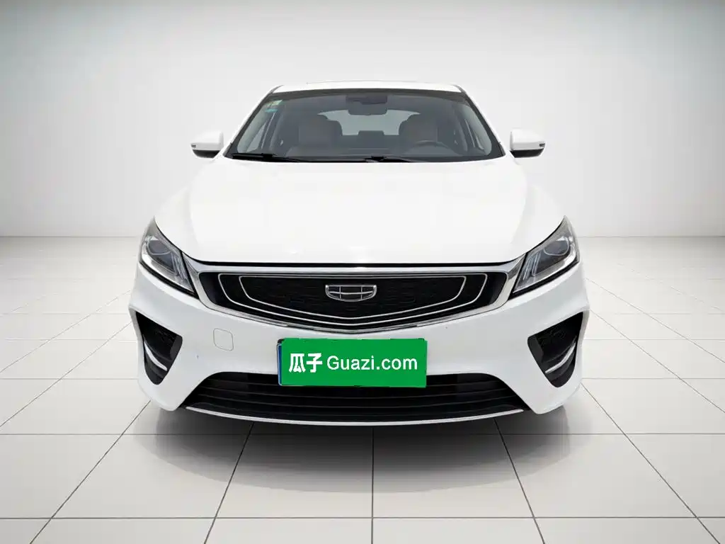 Фото 7 - Geely Binrui