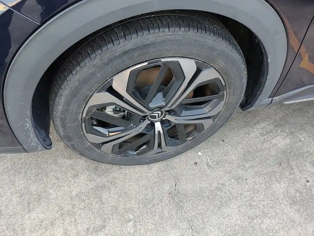 Фото 25 - Citroën Versailles C5 X