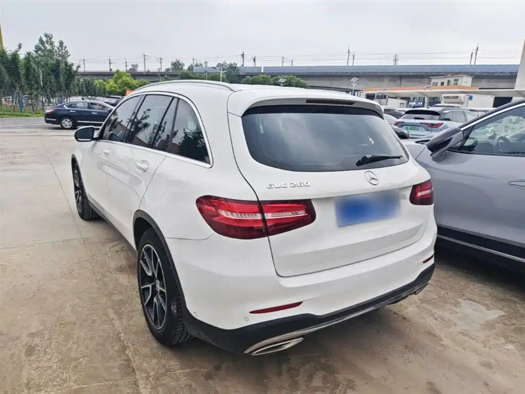 Mercedes-Benz GLC 2019 GLC 260 L 4MATIC Dynamic фото 5