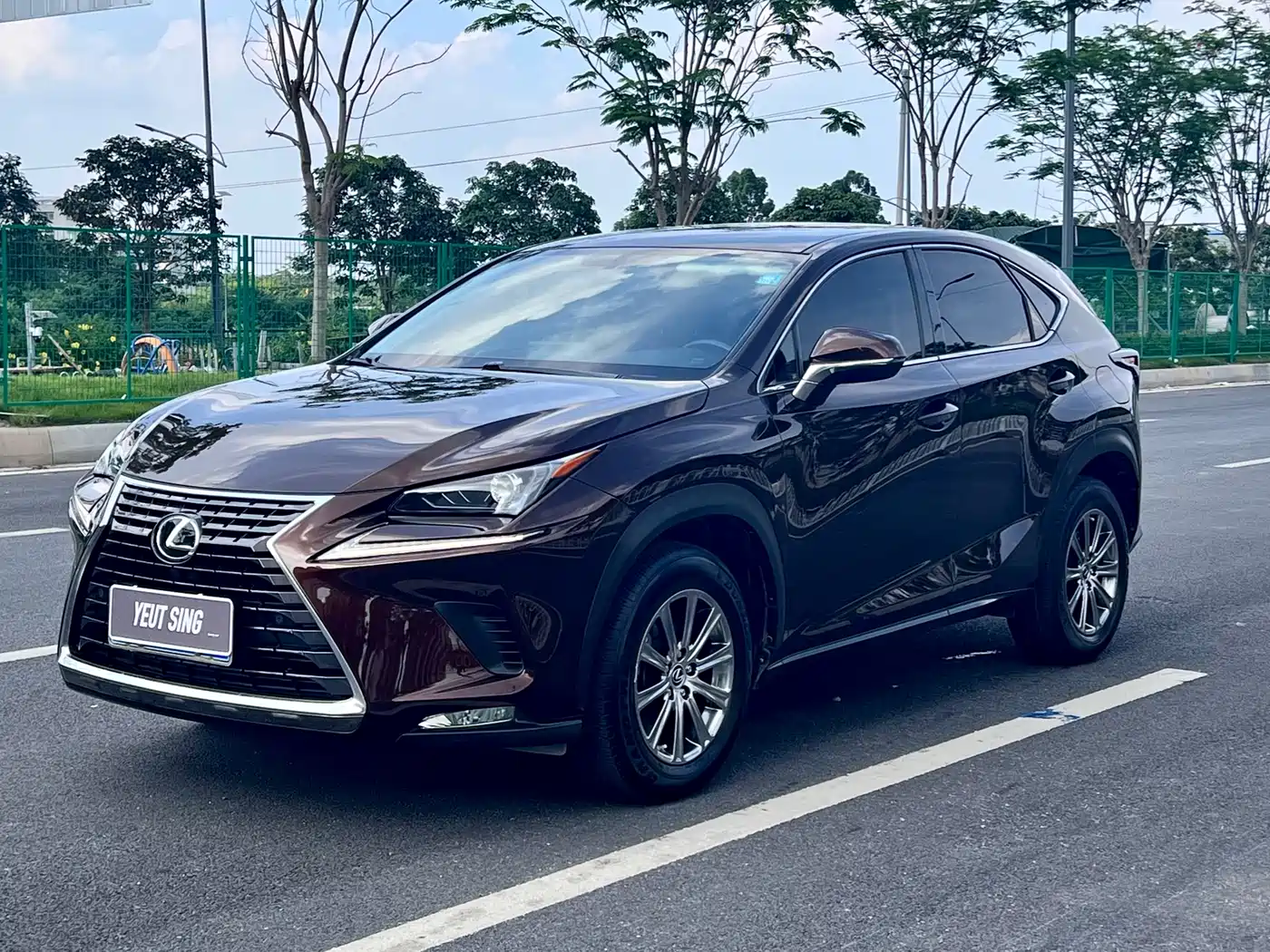 Lexus NX 2020 200 FWD Sharp Edition China V