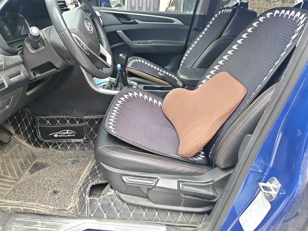 SAIC Maxus Maxus T60 2019 2.4L Petrol Manual 2WD High Ground Clearance Pioneer Standard Cab фото 8