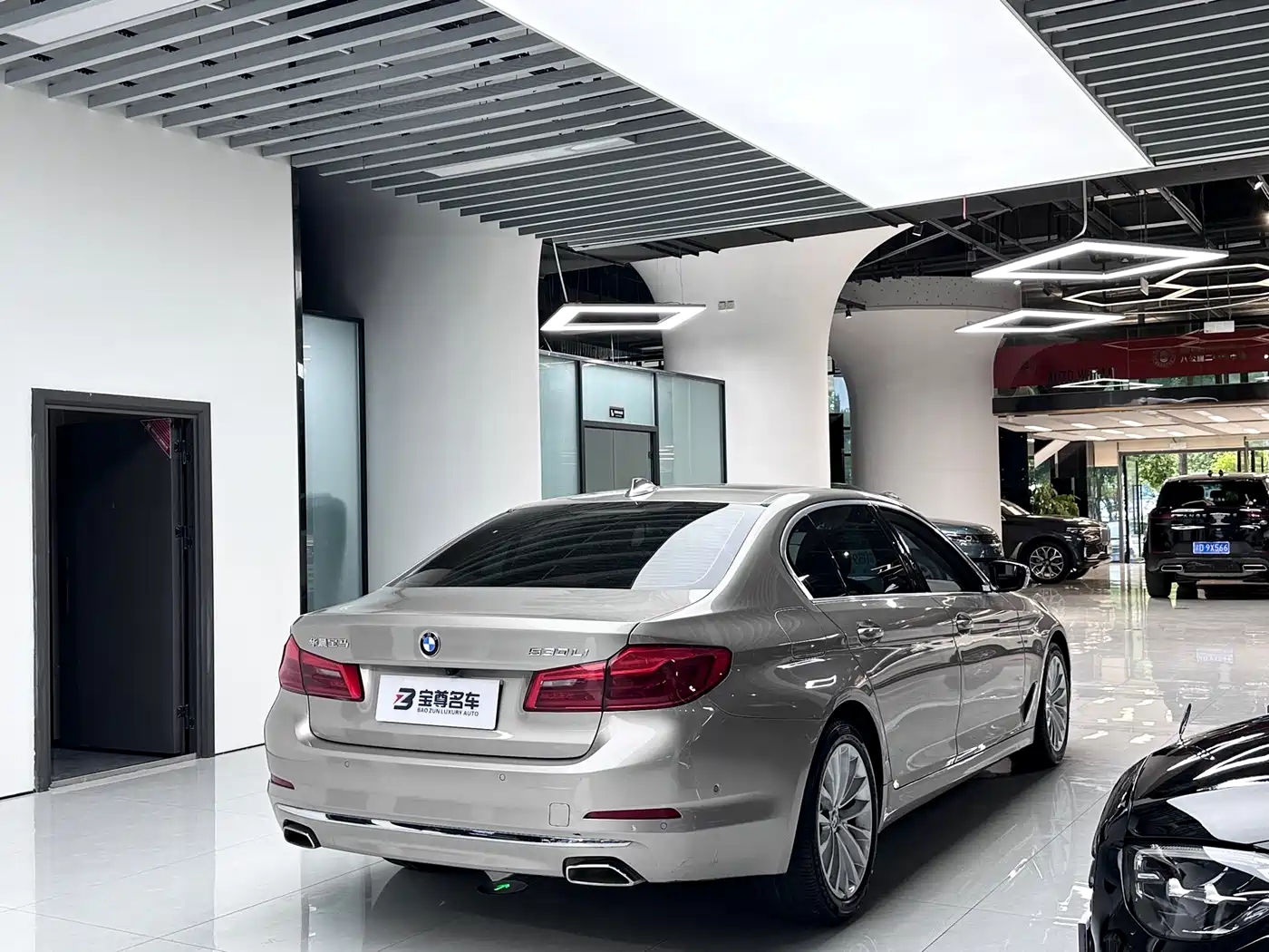 BMW 5 Series 2020 530Li Leading Luxury Package фото 18