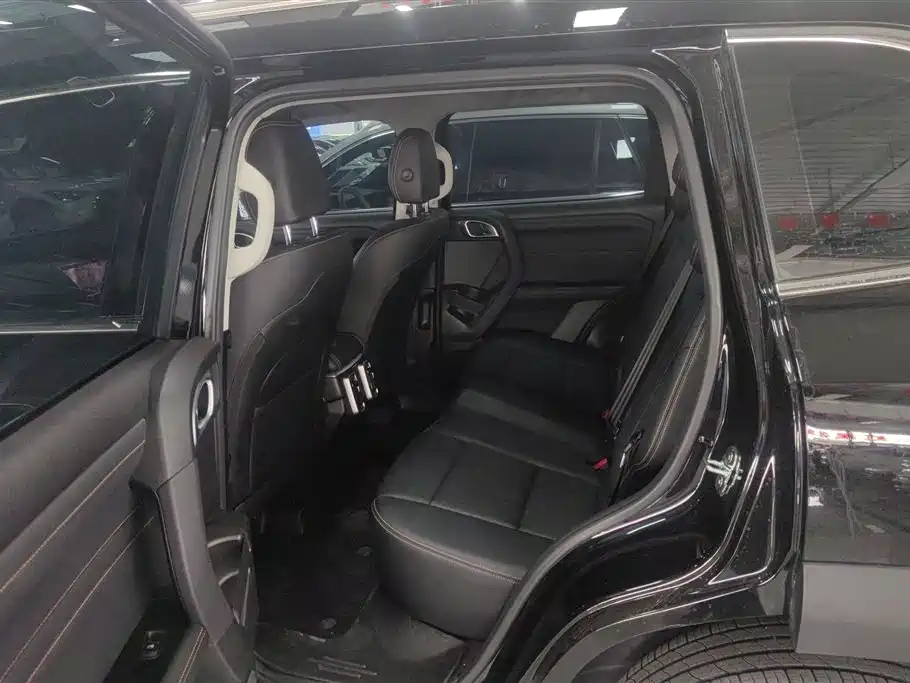 Haval Big Dog 2024 1.5T DCT Border Collie Edition фото 11