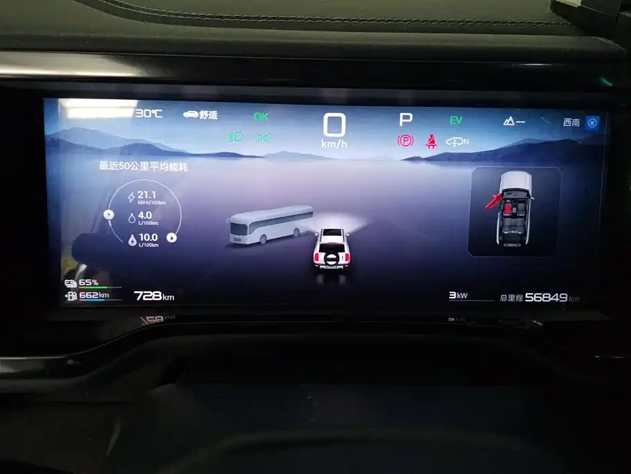 FANG CHENG BAO LEOPARD 5