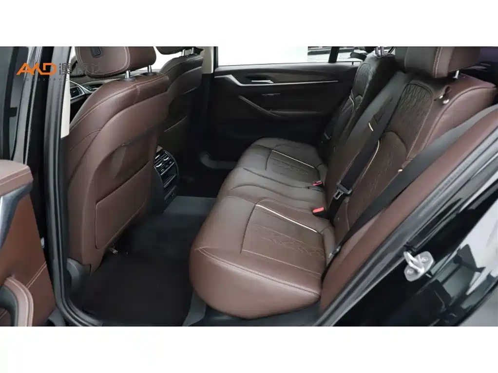 BMW 5 Series 2020 530Li xDrive Luxury Package фото 7
