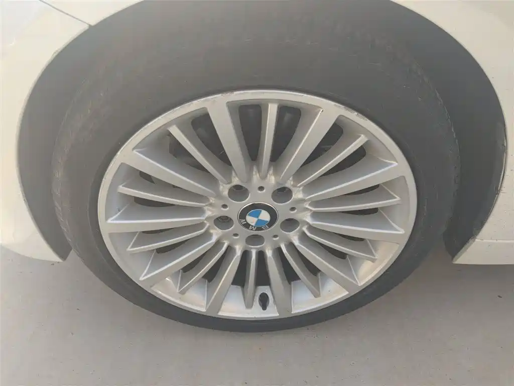 BMW 3 Series 2018 320Li Fashion Style фото 23