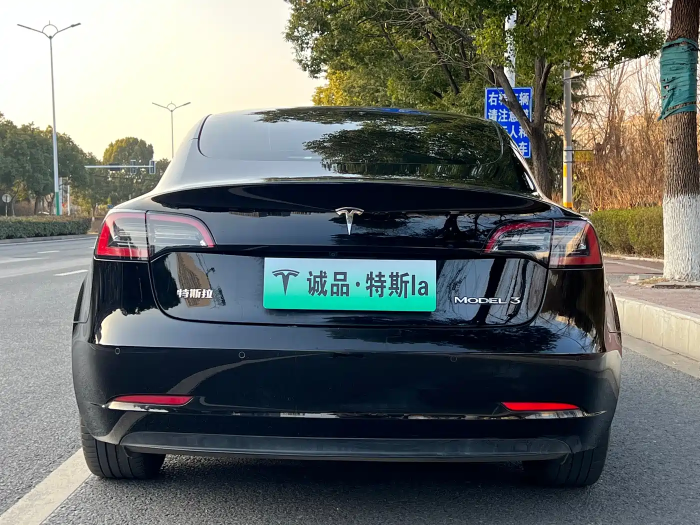 TESLA MODEL 3