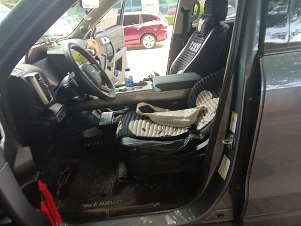 Haval Big Dog 2021 1.5T DCT 2WD Husky Edition фото 8