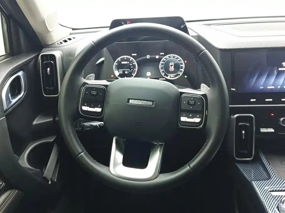 Haval Big Dog 2024 1.5T DCT Border Collie Edition фото 15
