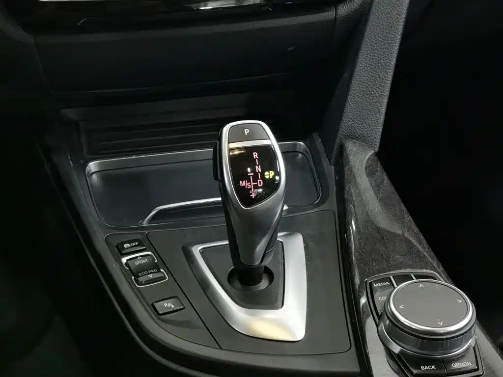 BMW 3 Series 2019 320Li M Sport Black Night Edition фото 13