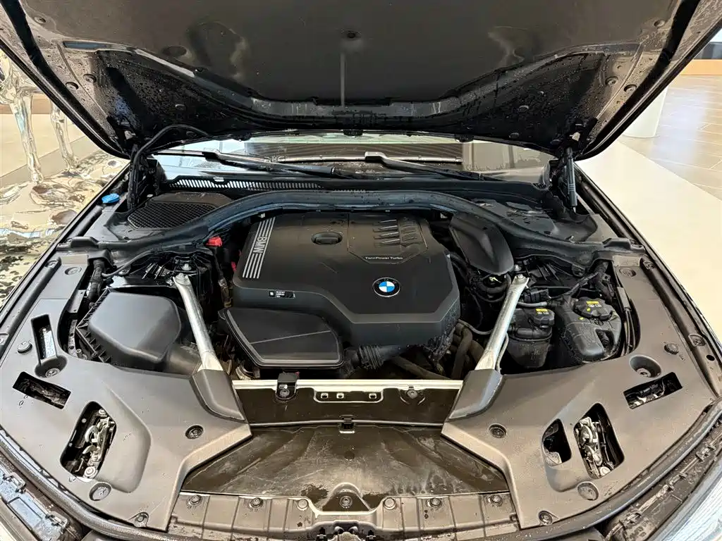 BMW 5 Series 2021 530Li Leading Luxury Package фото 2