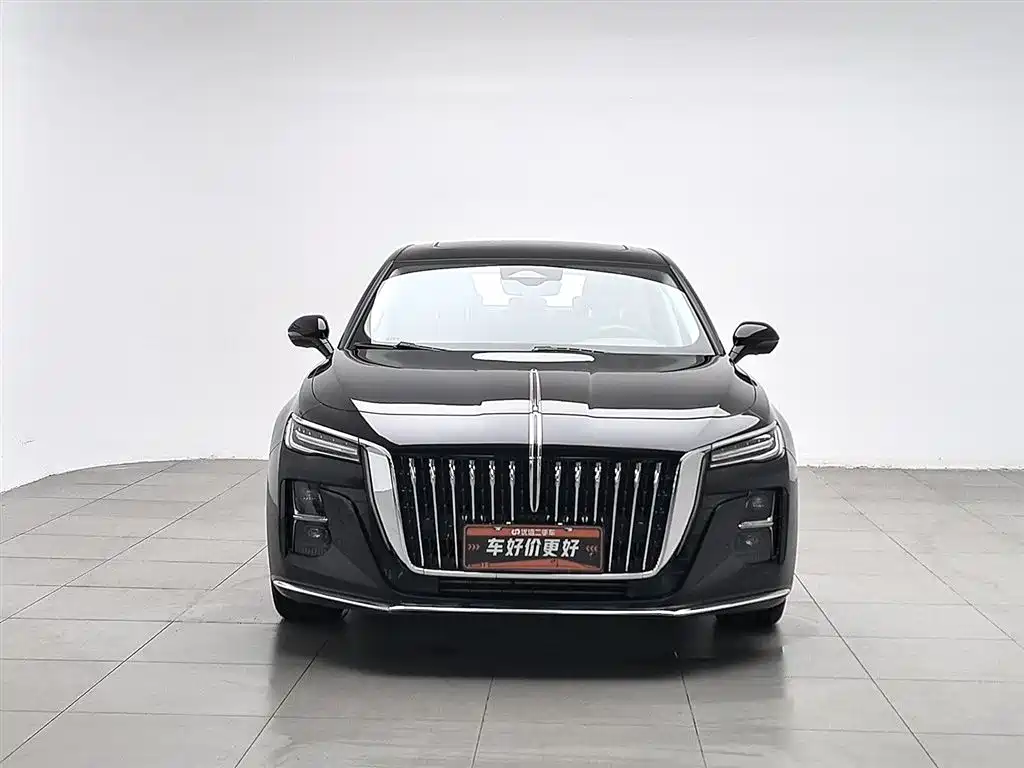 Hongqi H5 2023 2.0T Auto Smart Connect Flag Comfort фото 3