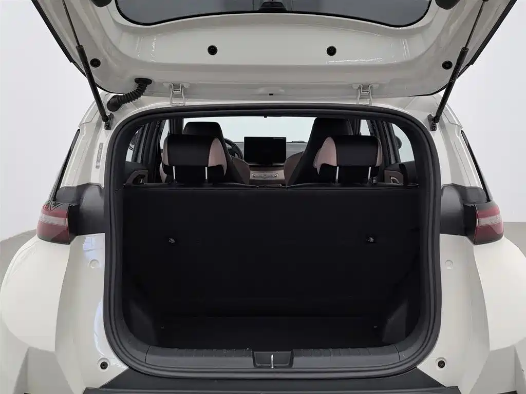 BYD Seagull 2025 Smart Drive Edition 305km Freedom Version фото 16