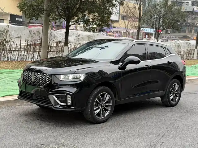 wei-pai wei-brand-vv5