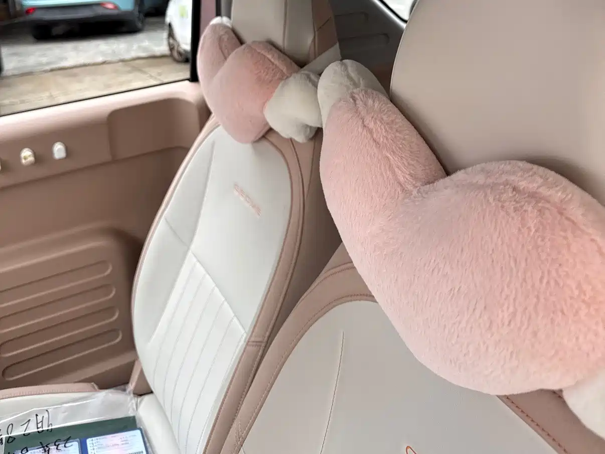 Geely Galaxy Panda 2023 2023 Panda Mini 200km Lively Bear