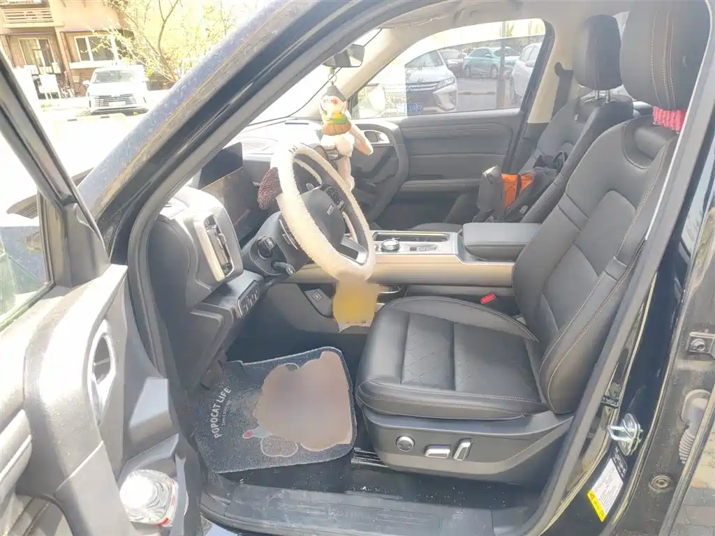 Haval Big Dog 2024 1.5T DCT Border Collie Edition фото 8
