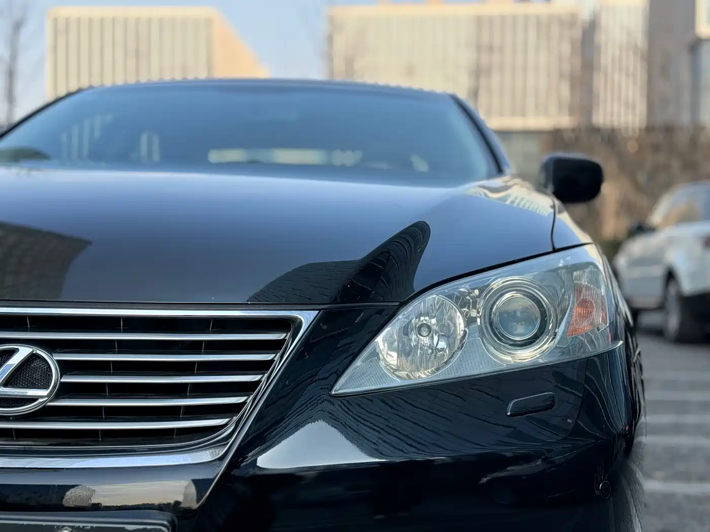 Lexus ES 2010 350 Luxury Edition фото 7