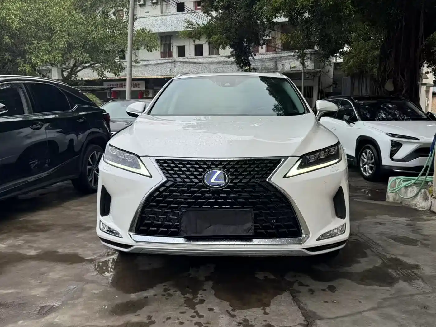 LEXUS RX