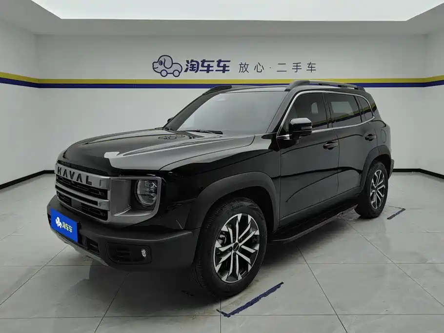 Haval Big Dog 2024 1.5T DCT Border Collie Edition