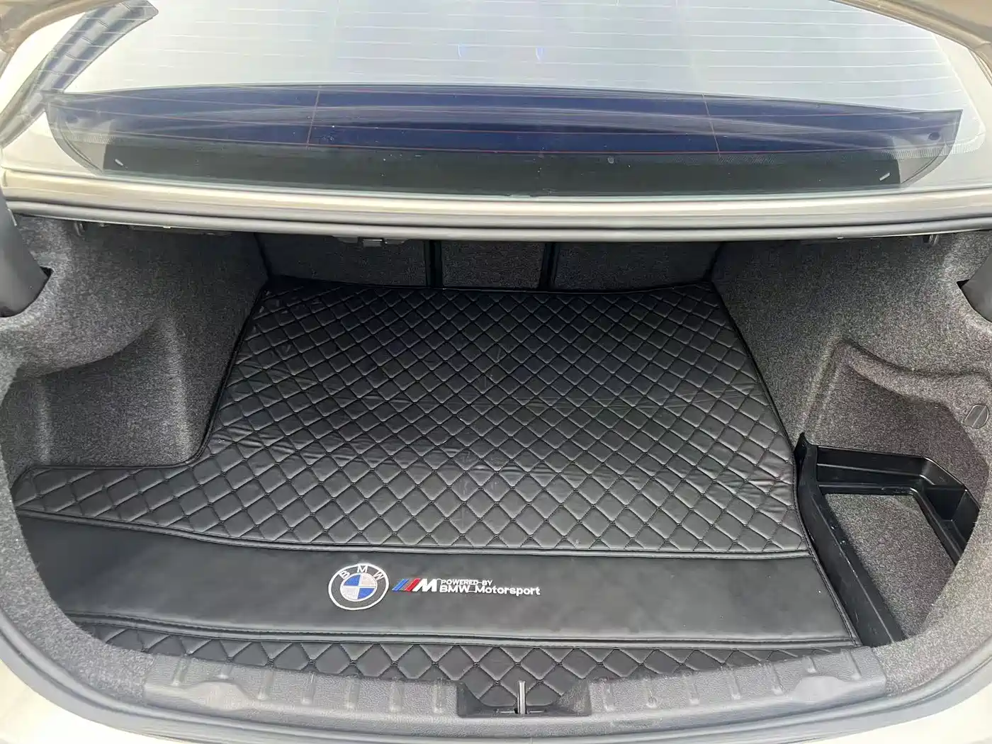 BMW 3 Series 2018 318Li фото 11
