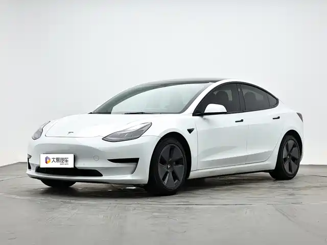 Tesla Model 3 Стандартный запас хода, задний привод, улучшенная, 3D6