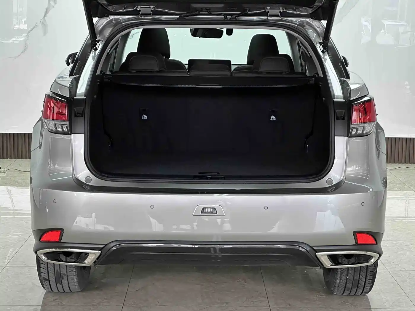 Lexus RX 2021 300 AWD Special Edition фото 17