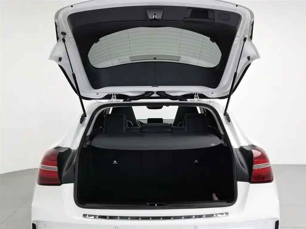Mercedes-Benz GLA 2018 GLA 220 4MATIC Sport фото 16