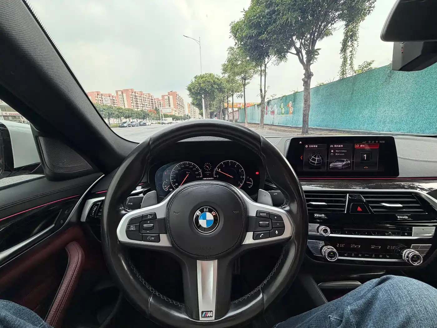 BMW 5 Series 2019 530Li Leading M Sport Package фото 8