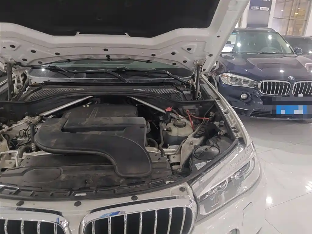 BMW X5 (Import) 2017 xDrive28i фото 25