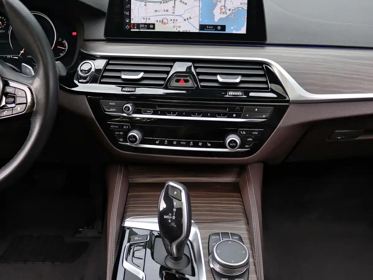 BMW 5 Series 2018 530Li Leading Luxury Package фото 15