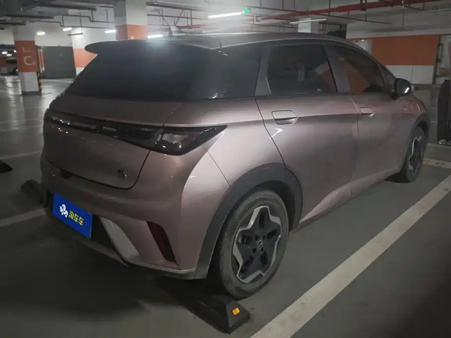 BYD Dolphin 2021 Model 405km Fashion Edition фото 3