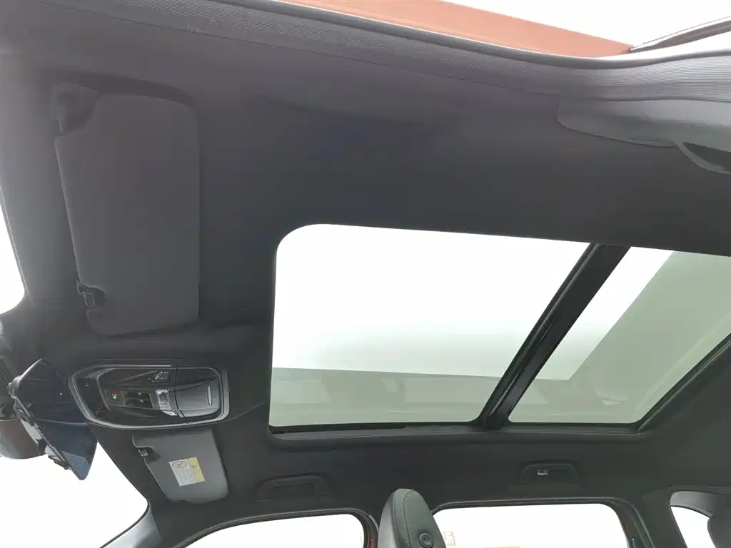 Haval Big Dog 2021 1.5T DCT 2WD Border Collie - Wangcai Edition фото 14