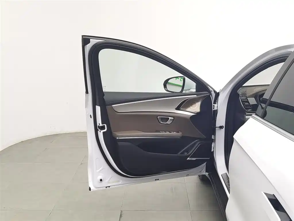 BYD Han 2020 DM AWD Performance Luxury Edition фото 8