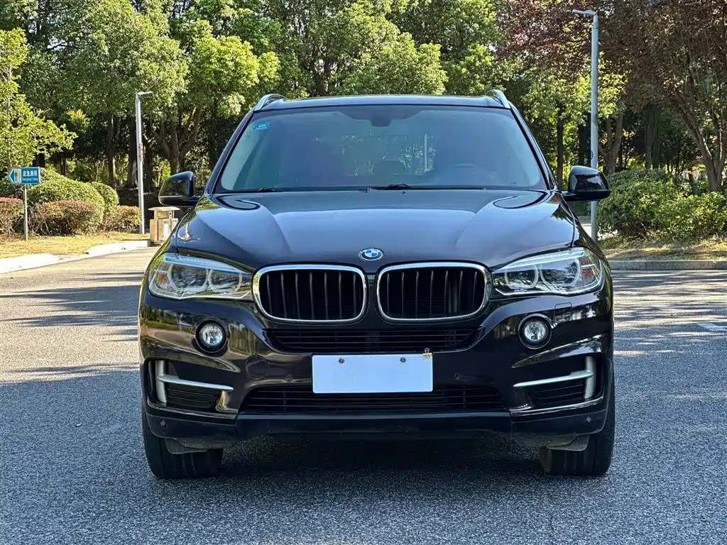 BMW X5 (Import) 2014 xDrive35i Leading фото 3