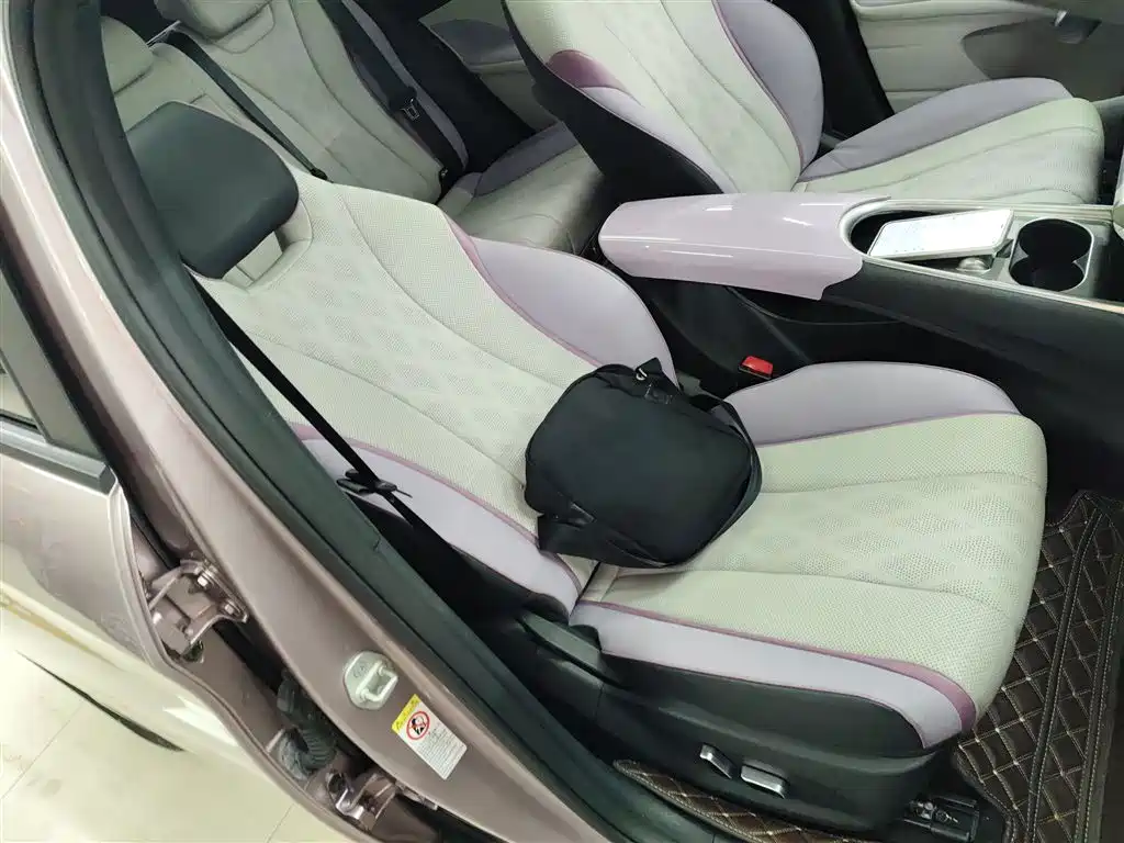 BYD Dolphin 2023 420km Fashion Edition фото 25