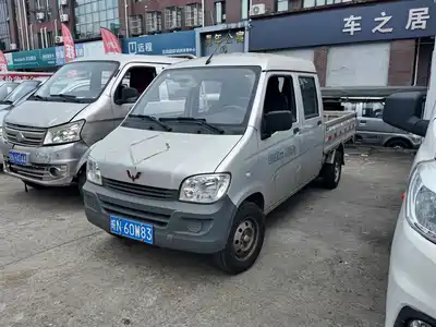 Wuling Wuling Zhiguang Mini Truck