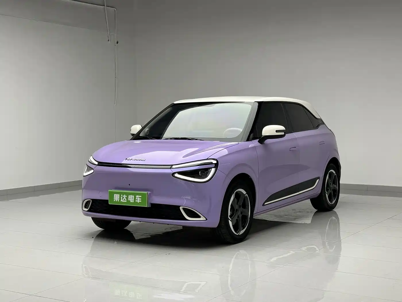 Dongfeng Yipai Nano 01 2025 2024 430 Plus Smart+