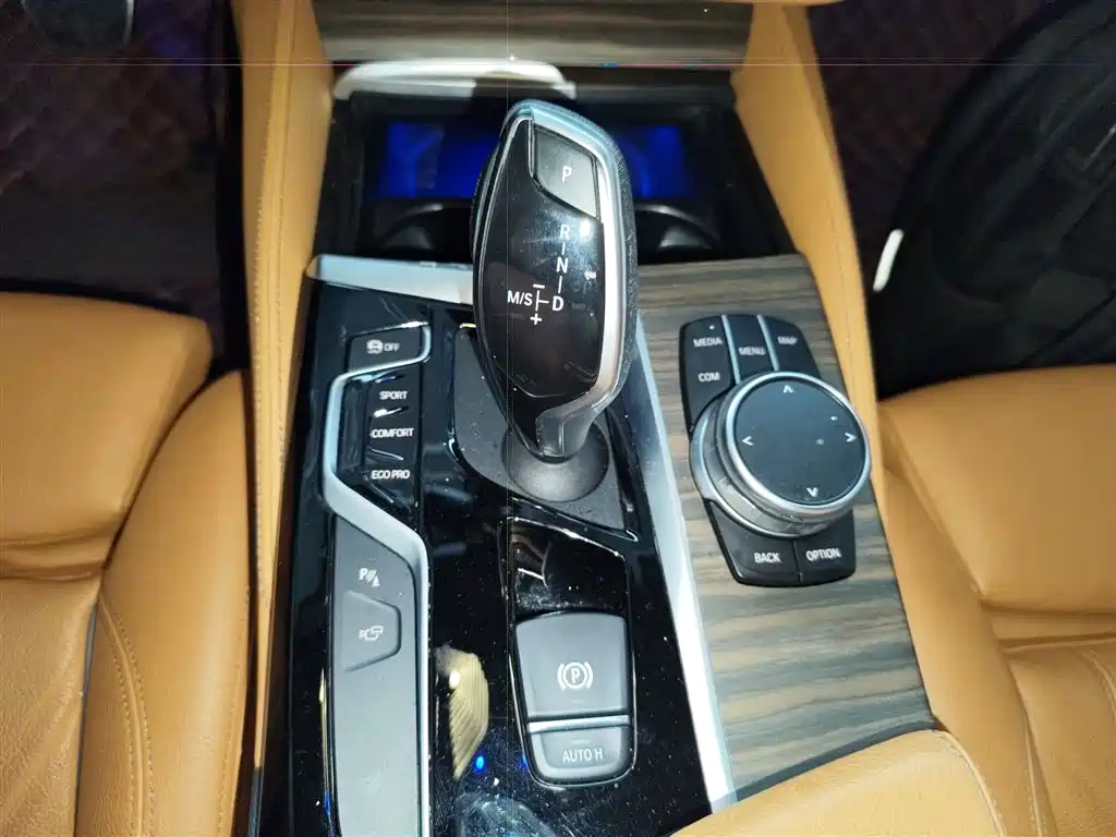 BMW 5 Series (Import) 2019 530i M Sport Package фото 14