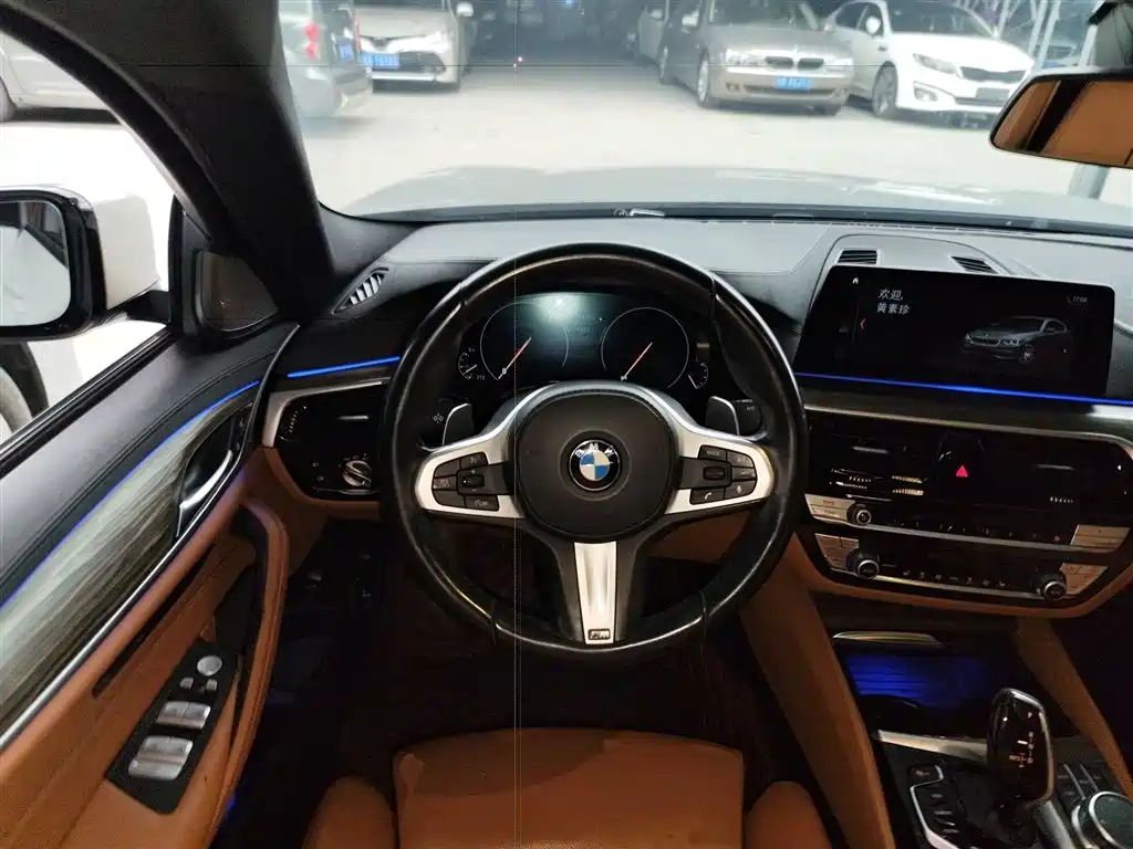 BMW 5 Series (Import) 2019 530i M Sport Package фото 11